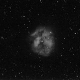 IC 5146, the Cocoon 